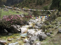 Mountain Stream in Thamo